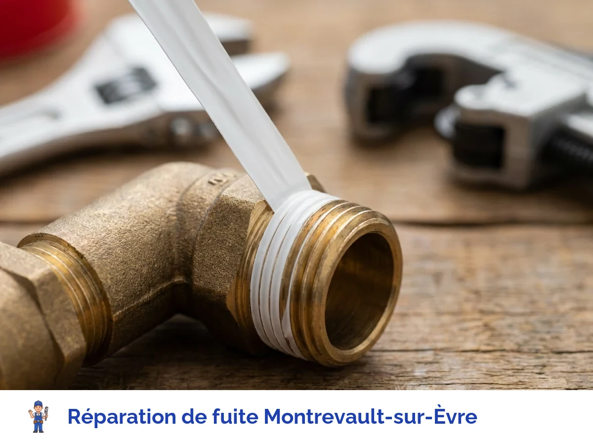 Réparation de fuite à Montrevault-sur-Èvre