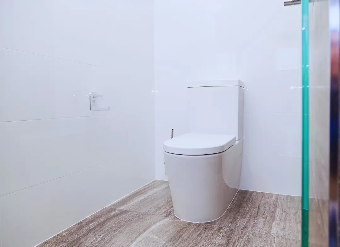 Remplacement de wc Montrevault-sur-Èvre